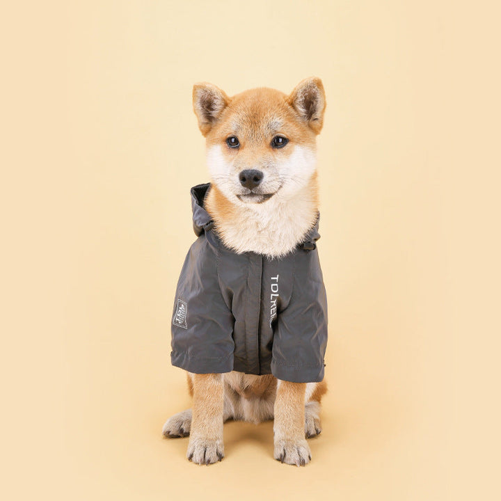 Why Your Pet Needs a Rainproof Hooded Jacket