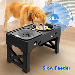 Elevate Your Pet's Dining Experience with Our Stainless Steel Double Pet Bowl Elevated Feeder Stand