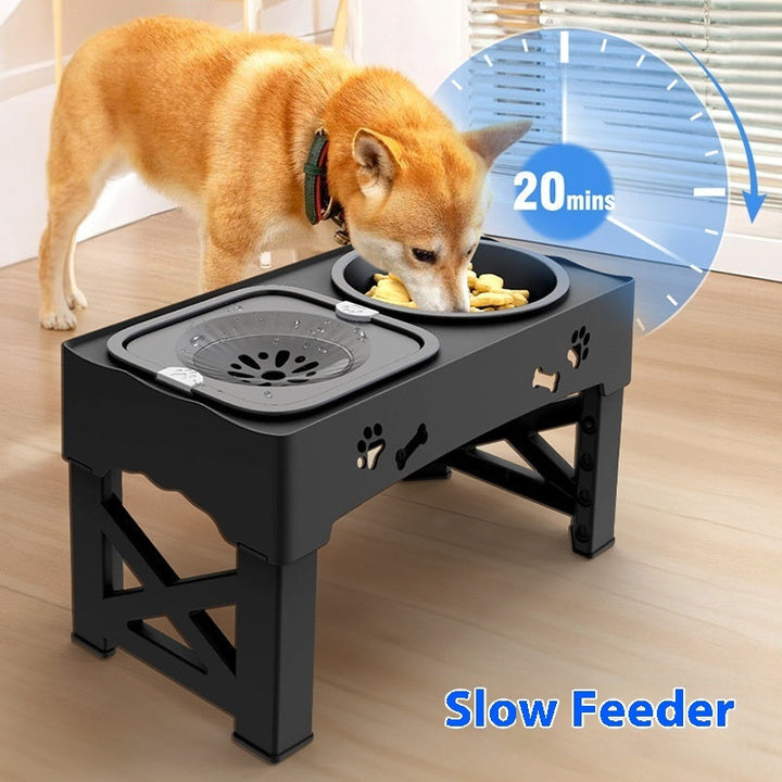 Elevate Your Pet's Dining Experience with Our Stainless Steel Double Pet Bowl Elevated Feeder Stand