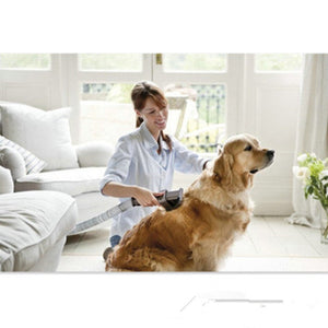 The Ultimate Pet Grooming Experience