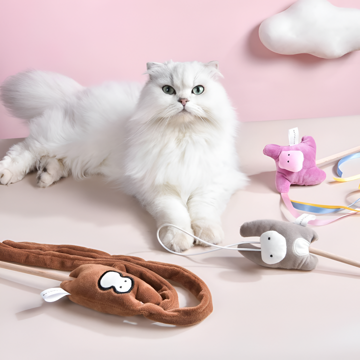 PREMIUM PET TOYS FOR HAPPY PLAYTIME MOMENTS