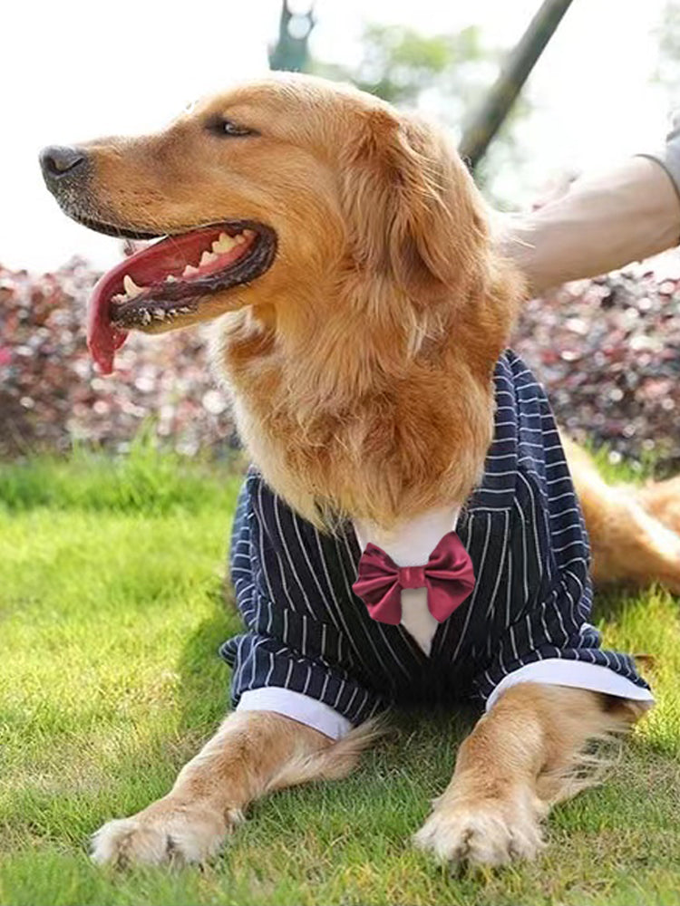 Pet Large Size Coat Clothing Warm Outdoor Wear