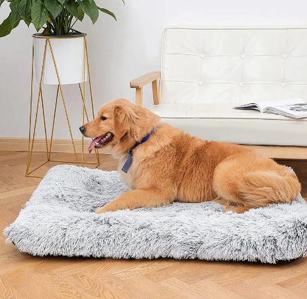 Plush Square Pet Bed With Memory Foam Deep Sleep Sofa