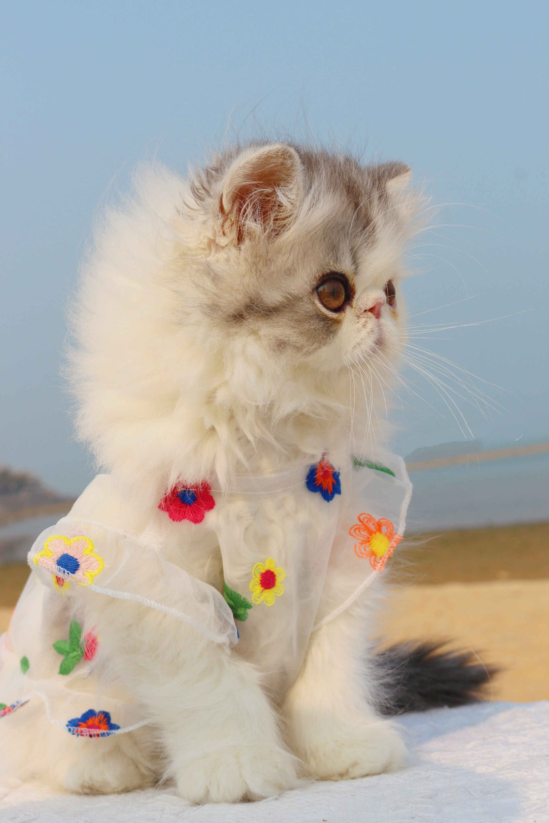 Pet Mesh Embroidery Floral Dress Elegant Summer Wear