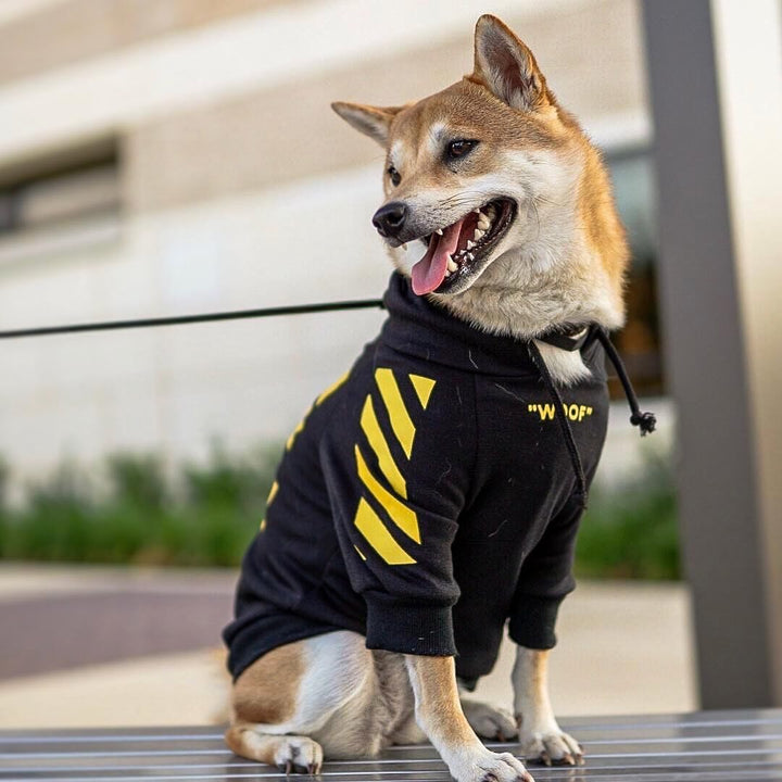 Pet Fashion Striped Sweater Autumn Winter Sports Apparel