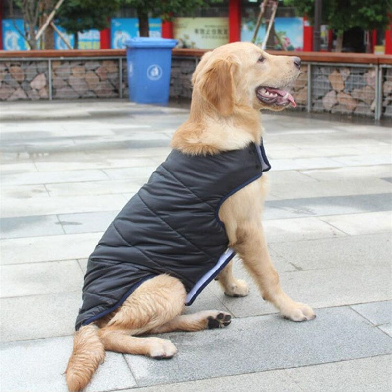 Winter Cotton Pet Coat Warm Comfortable Apparel