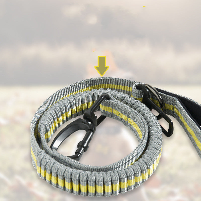 Pet Fluorescent Elastic Retractable Safety Leash Walking Control