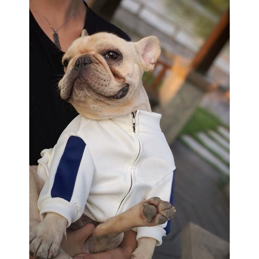 Pet Fashion Clothing Brand Stylish Comfortable Pet Wear