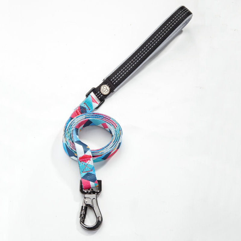 Pet Supplies Durable Pet Walking Leash Rope Lead