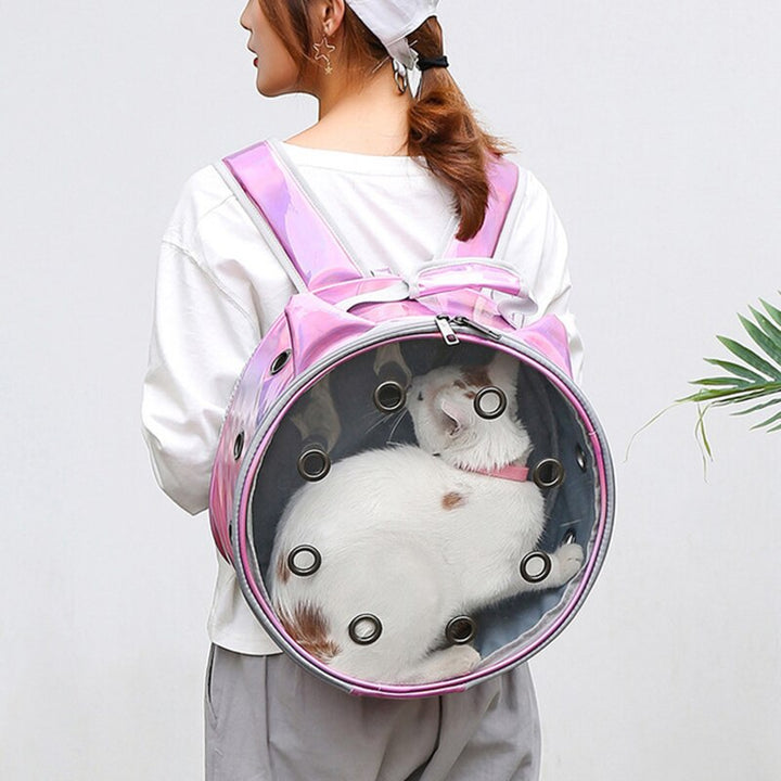 Transparent Portable Breathable Pet Backpack Carrier Bag