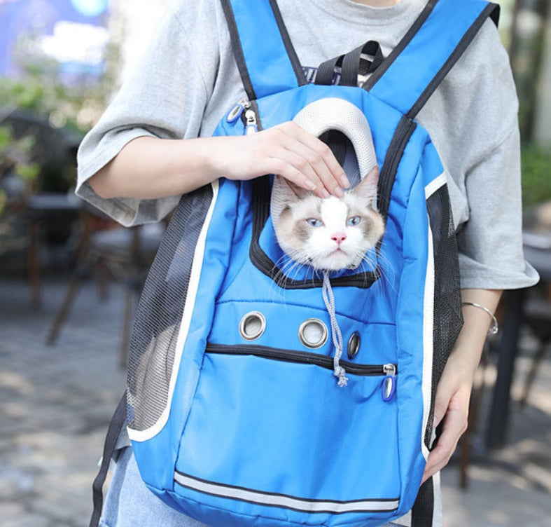 Portable Pet Outing Backpack Carrier Bag
