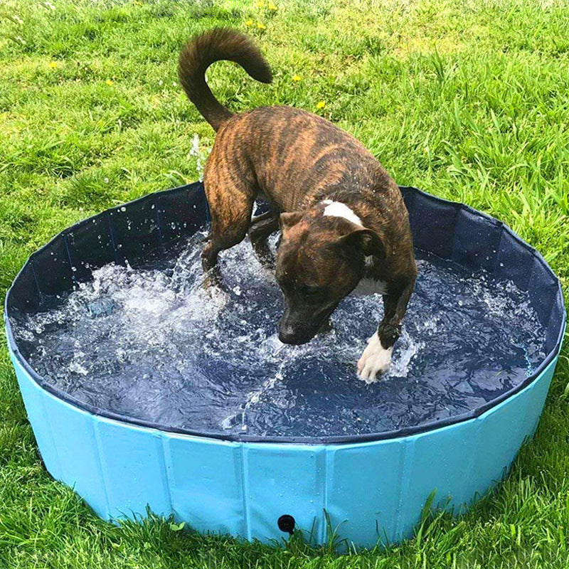 Foldable Pet Bath Swimming Pool Collapsible Bathtub Outdoor Indoor