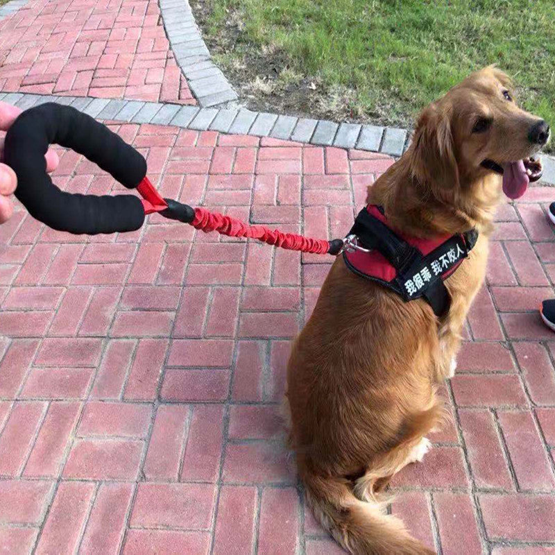 Pet Explosion Proof Elastic Retractable Safety Leash
