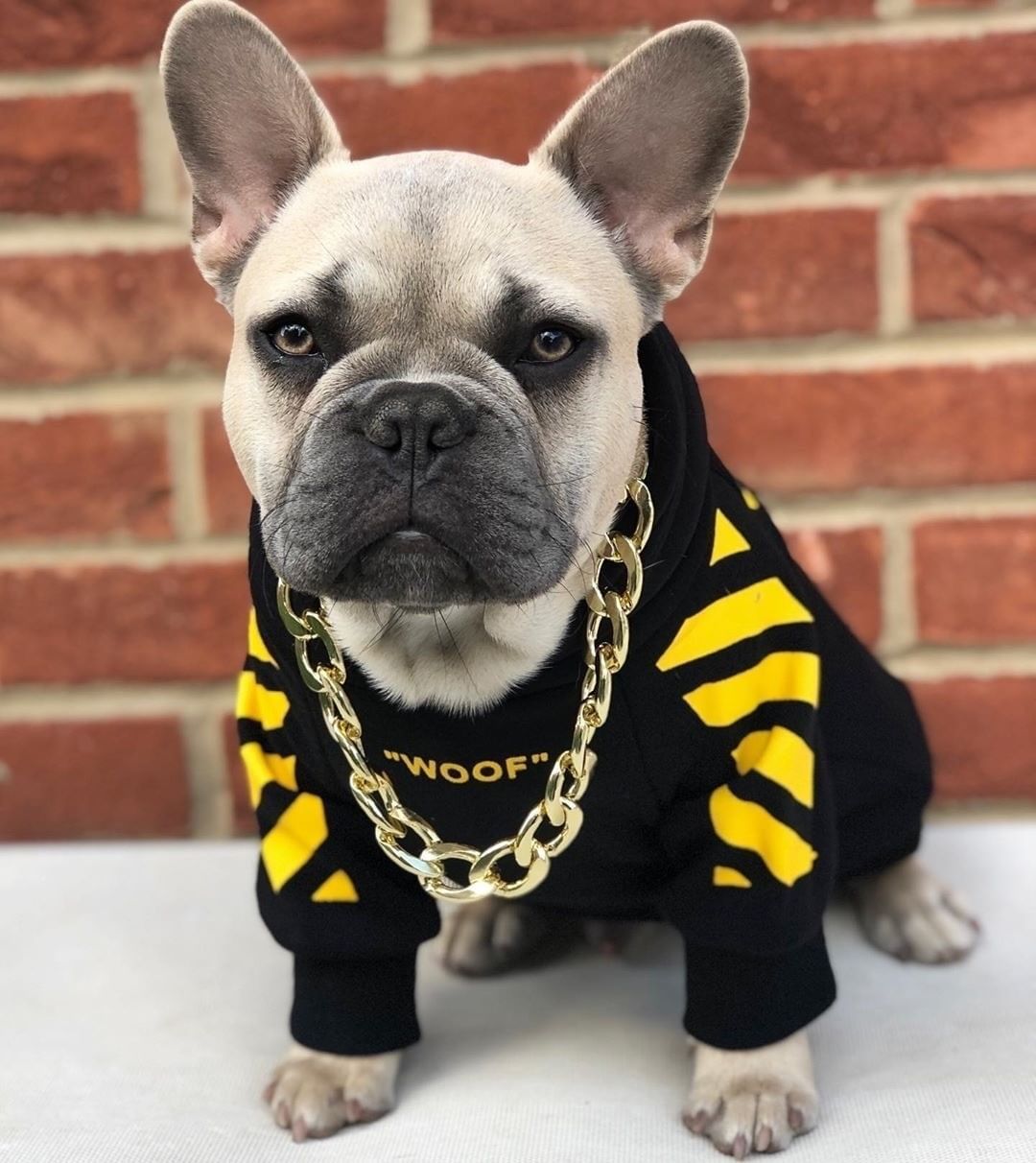 Pet Fashion Striped Sweater Autumn Winter Sports Apparel