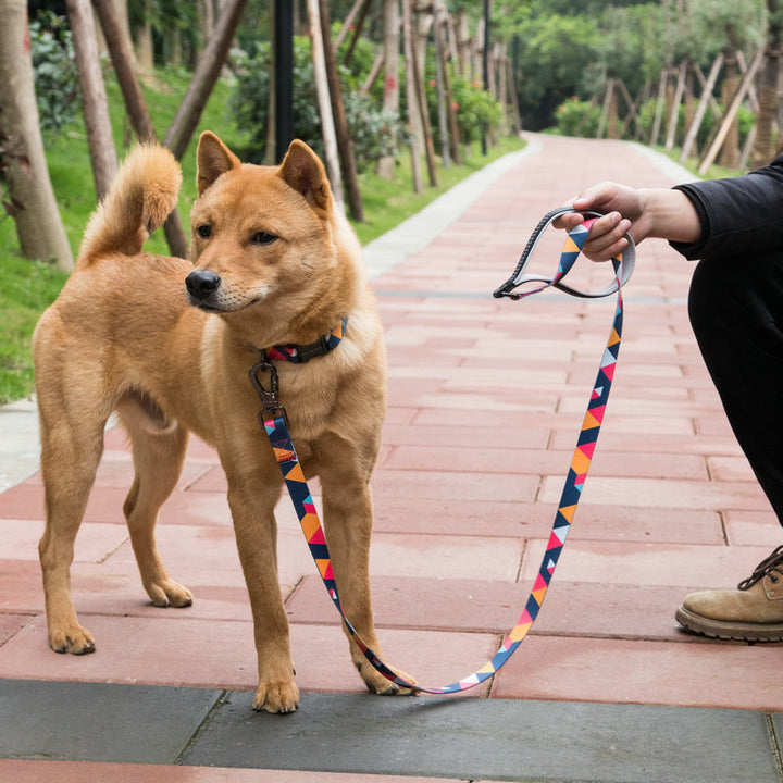 Pet Supplies Durable Pet Walking Leash Rope Lead