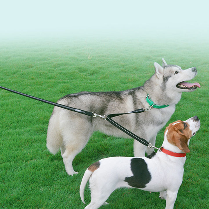 Pet Double Head Nylon Reflective Dual Leash Walking Lead
