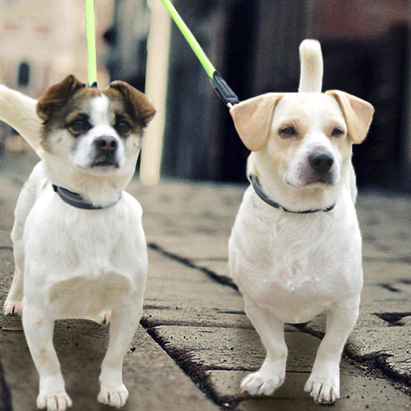 Pet Double Head Nylon Reflective Dual Leash Walking Lead