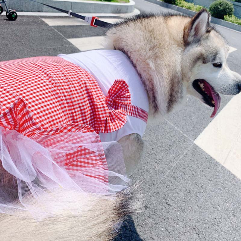 Pet Princess Costume Clothing For Large Pets Stylish Wear