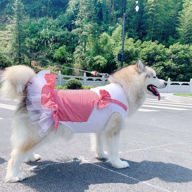 Pet Princess Costume Clothing For Large Pets Stylish Wear