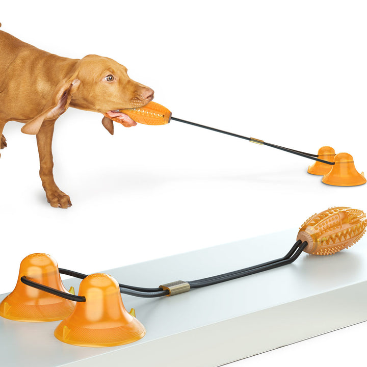 Double Tug Rope Ball Suction Pet Chew Toy Bite Resistant Molar Toy