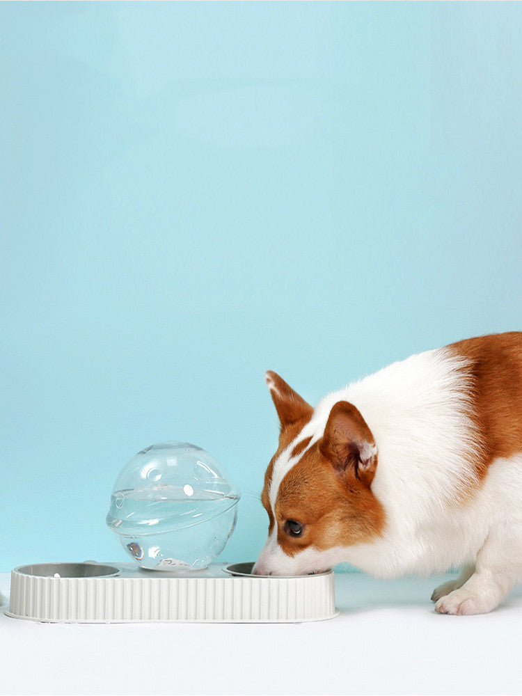 Automatic Plastic Pet Water Feeder Drinking Bowl Dispenser