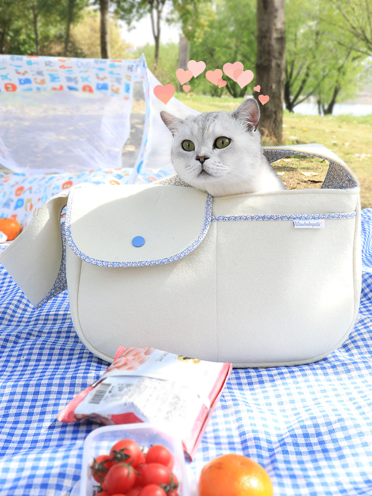 Portable Pet Travel Carrier Bag For Outdoor Use