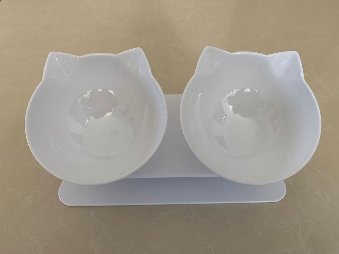 Adjustable Height Pet Feeding Bowl Ergonomic Stand Design