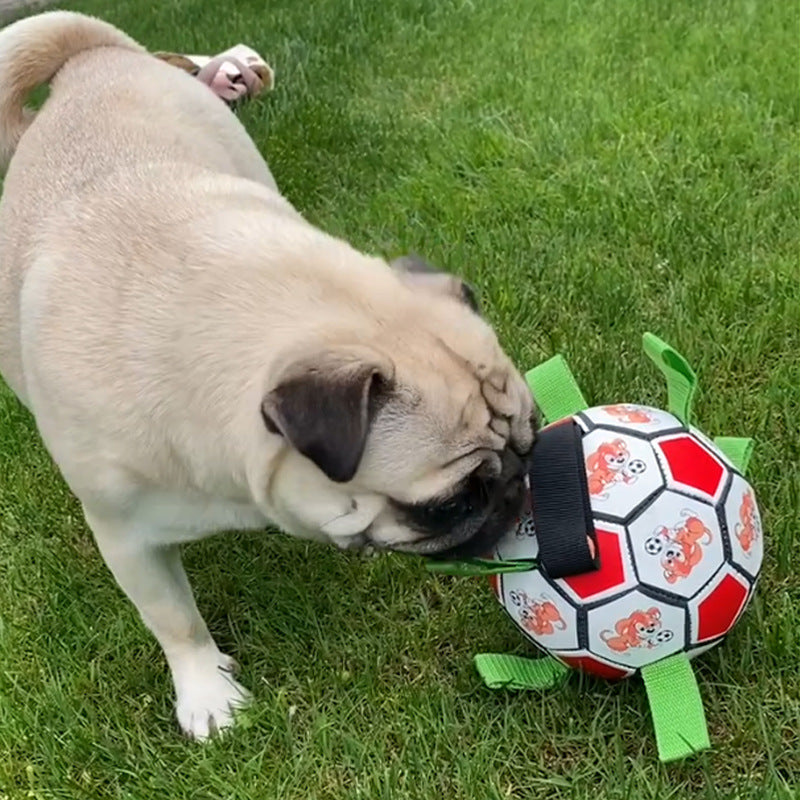 Durable Pet Football Bite Resistant Molar Chew Toy