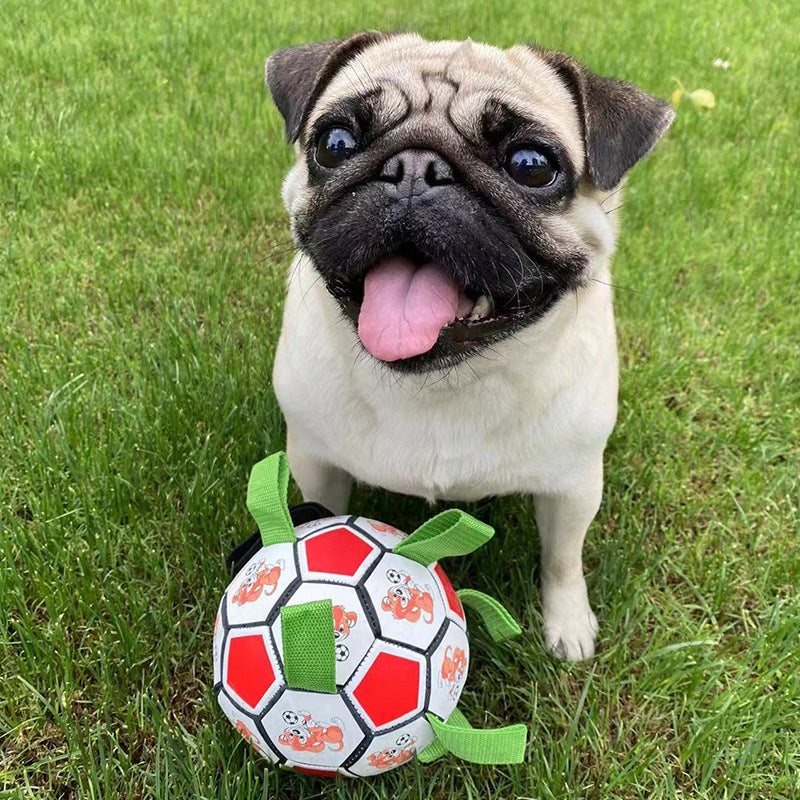 Durable Pet Football Bite Resistant Molar Chew Toy