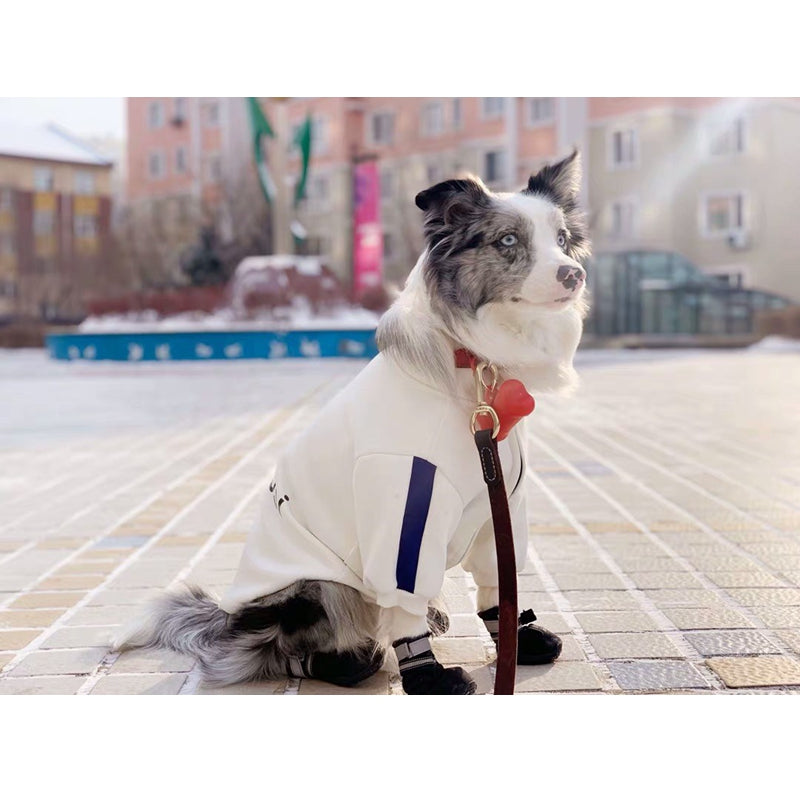 Pet Fashion Clothing Brand Stylish Comfortable Pet Wear