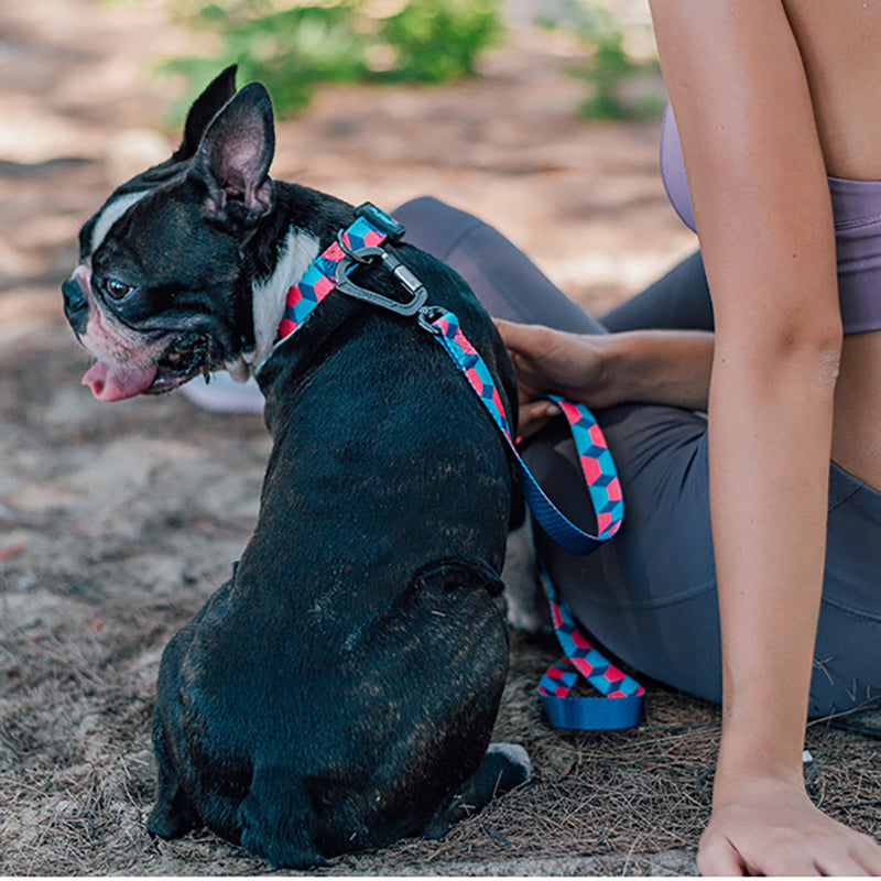 Pet Ribbon Printed Traction Rope Durable Walking Leash