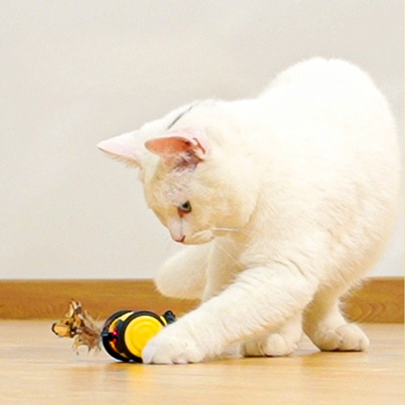 Electric Interactive Pet Toy Moving Feather Teaser Ball