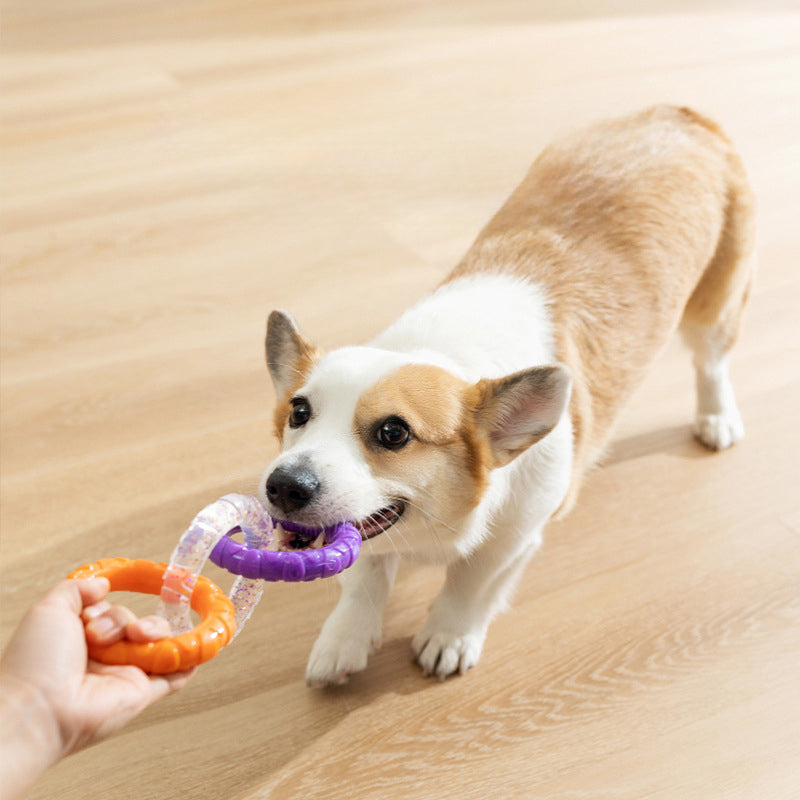 Floating Water Pet Flying Disc Training Ring Interactive Chew Toy
