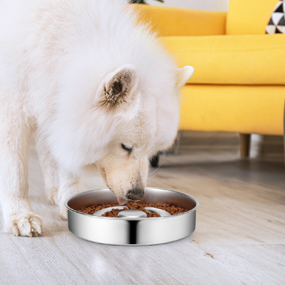 Stainless Steel Slow Feeding Pet Bowl Neck Protection Design