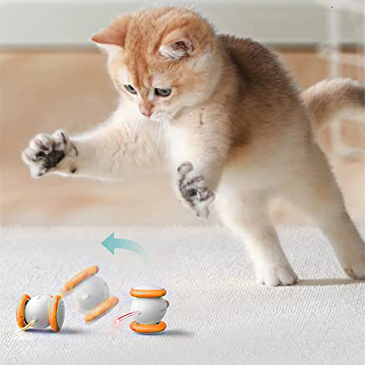 Electric Intelligent Charging Interactive Pet Teasing Toy