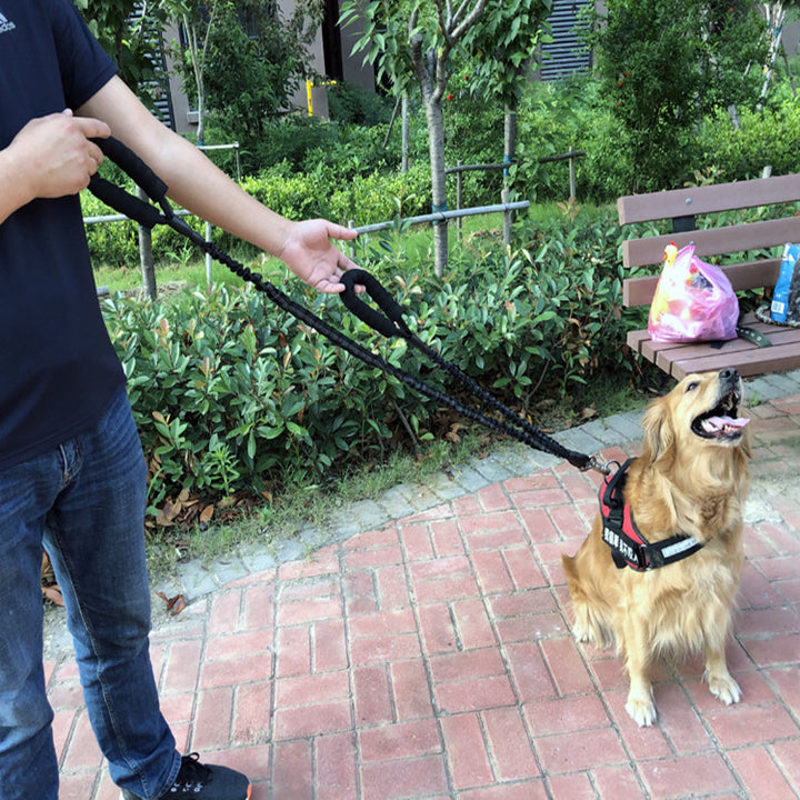 Pet Explosion Proof Elastic Retractable Safety Leash