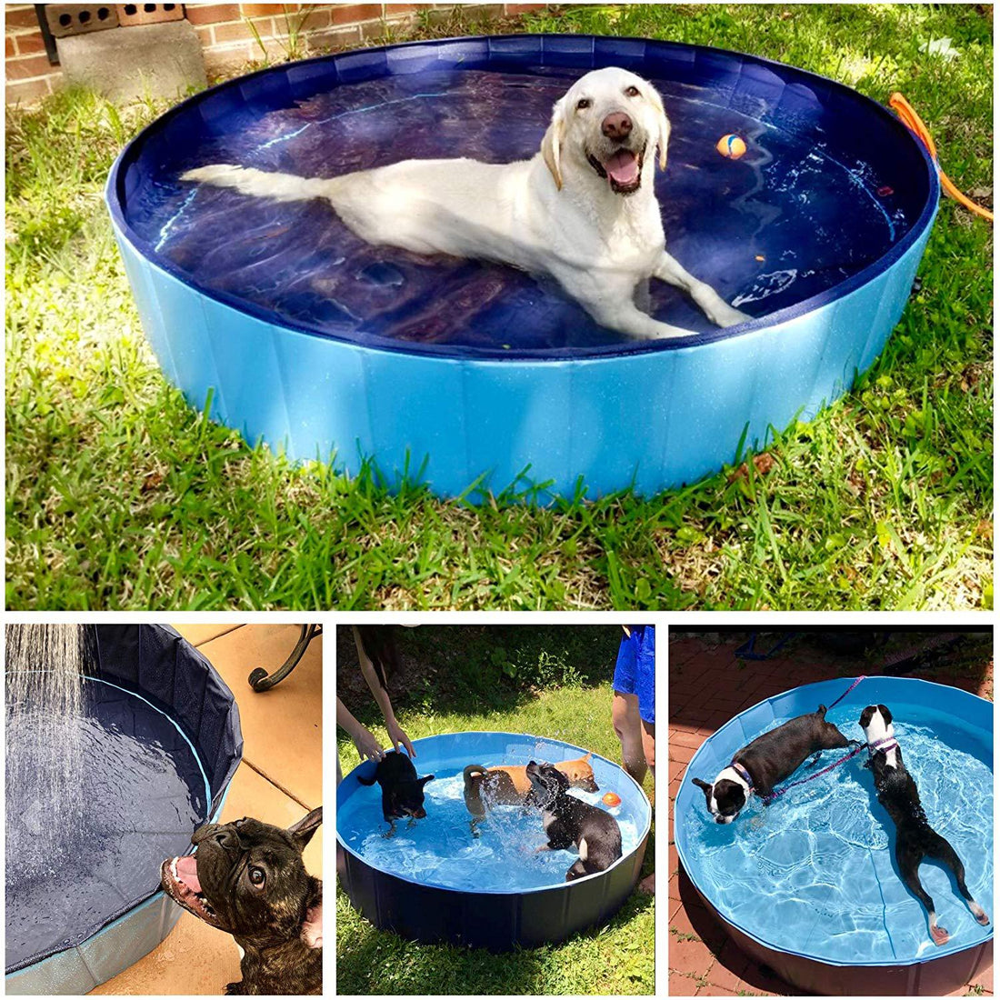 Foldable Pet Bath Swimming Pool Collapsible Bathtub Outdoor Indoor