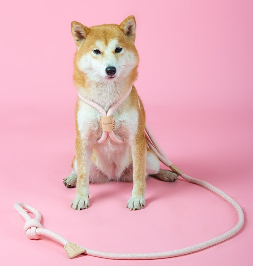 Pet Dual Purpose Round Rope Leash Durable Walking Lead