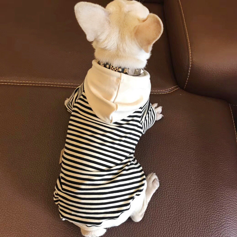 Pet Terry Sweater Fashion Brand Clothing Small Pet Wear