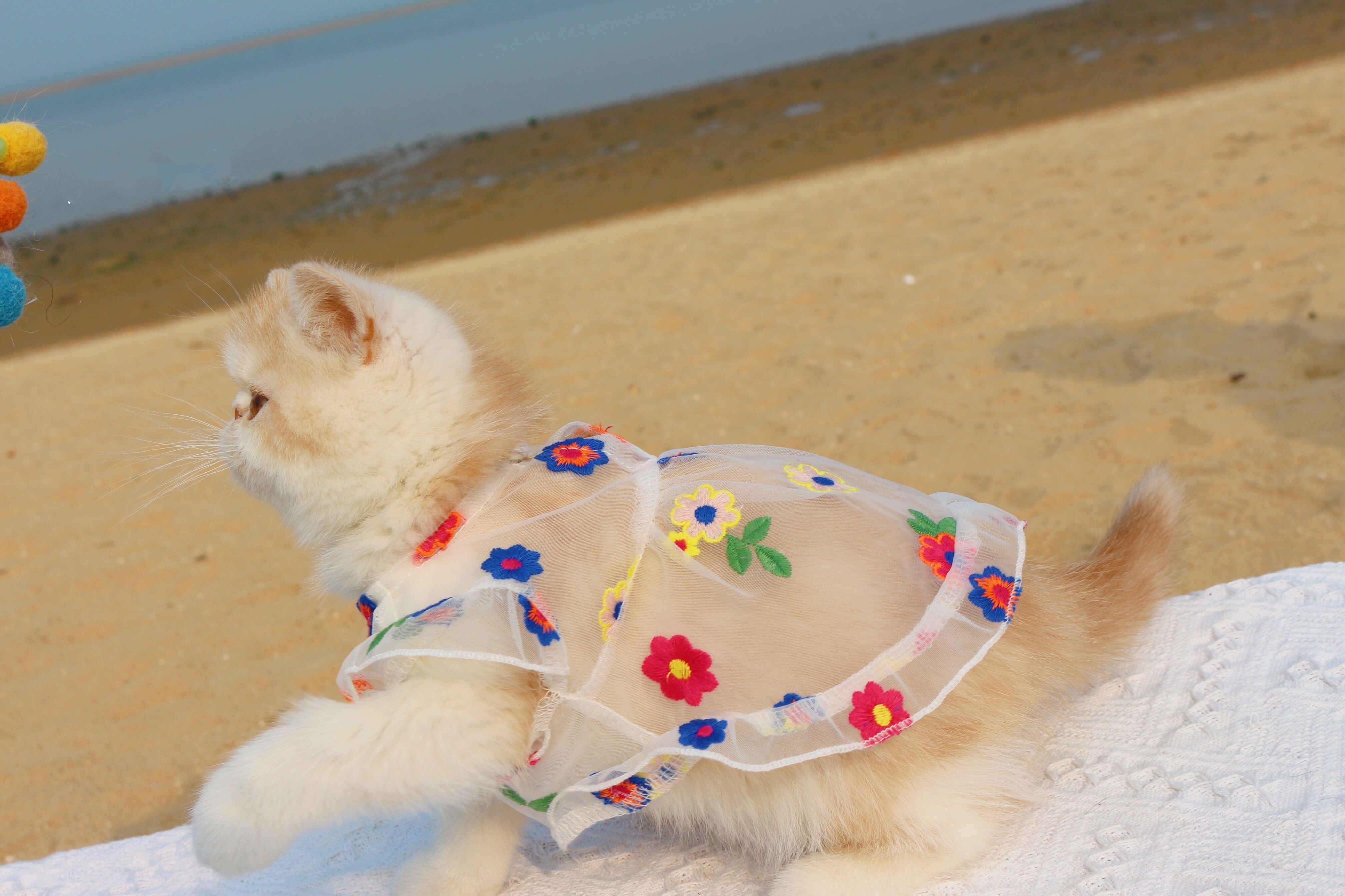 Pet Mesh Embroidery Floral Dress Elegant Summer Wear