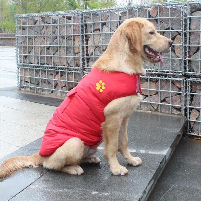 Winter Cotton Pet Coat Warm Comfortable Apparel