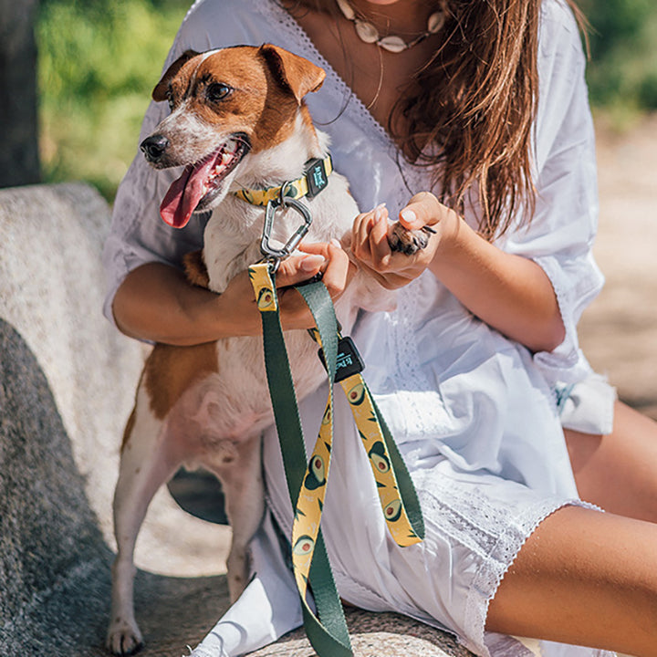 Pet Ribbon Printed Traction Rope Durable Walking Leash