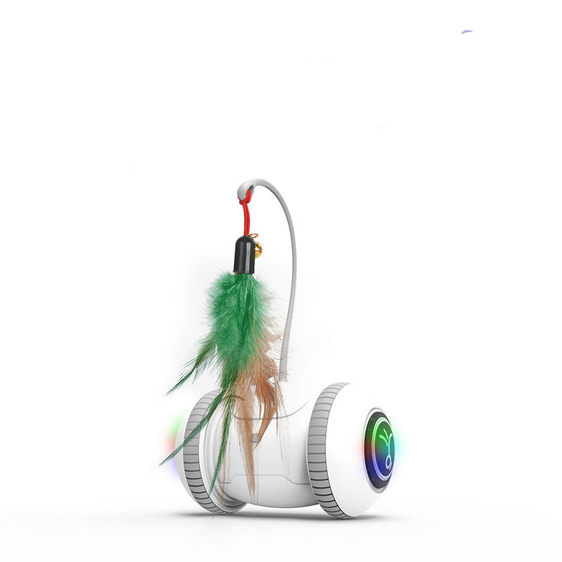 Interactive Pet Toy With Interchangeable Heads Feather Teaser Toy