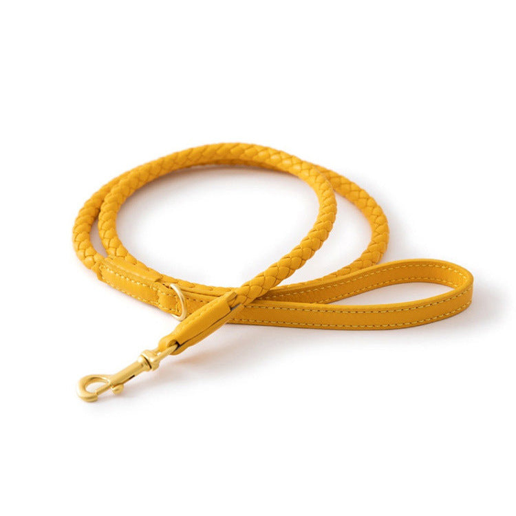 Pet Premium Sturdy Collar Durable Comfortable Wear