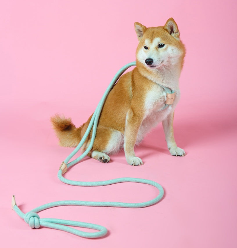 Pet Dual Purpose Round Rope Leash Durable Walking Lead