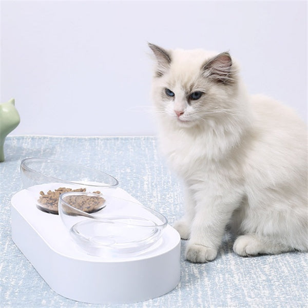 Adjustable Height Pet Feeding Bowl Ergonomic Stand Design