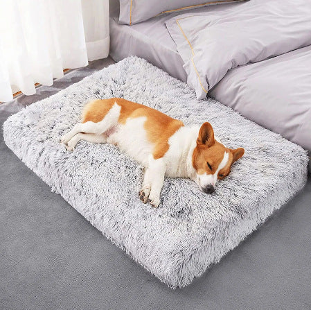 Plush Square Pet Bed With Memory Foam Deep Sleep Sofa