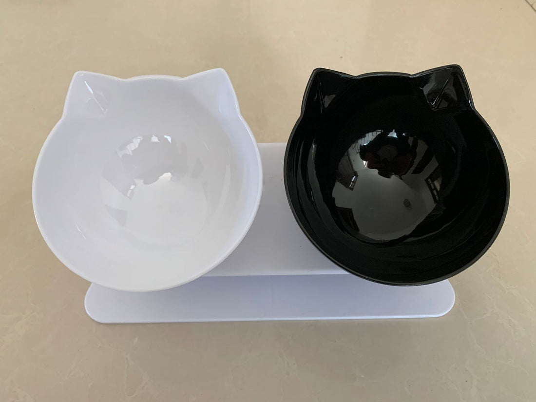 Adjustable Height Pet Feeding Bowl Ergonomic Stand Design