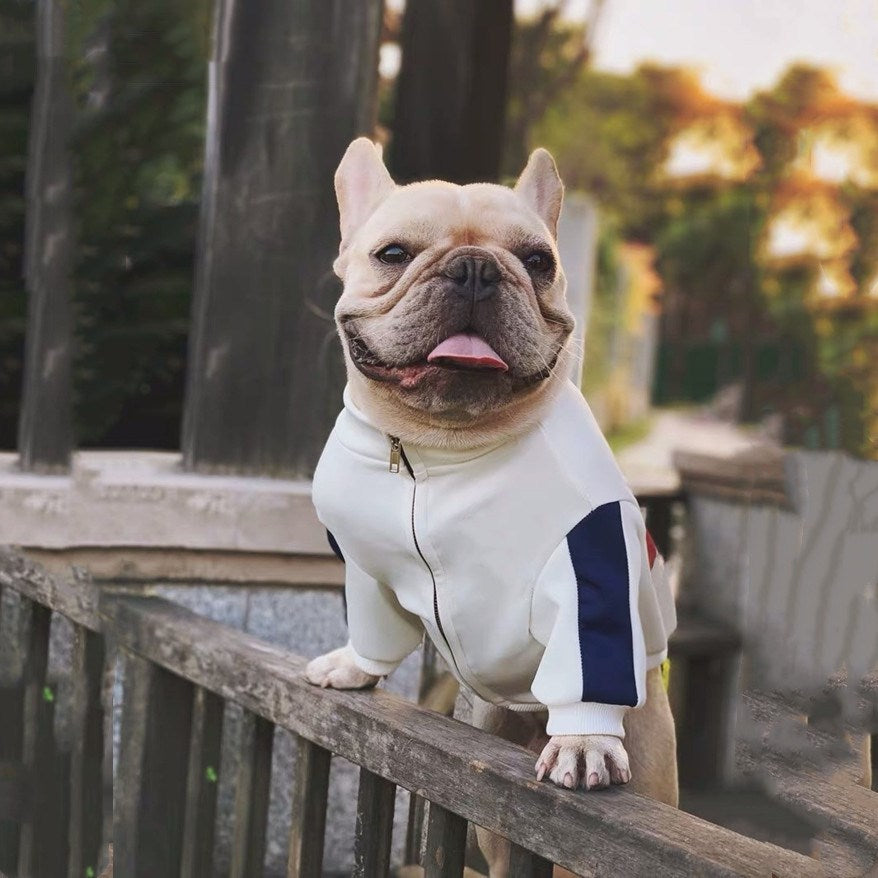 Pet Fashion Clothing Brand Stylish Comfortable Pet Wear