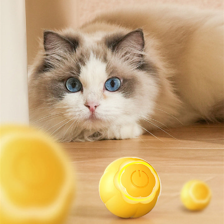 Smart Rolling Pet Ball Bite Resistant Boredom Relief Toy